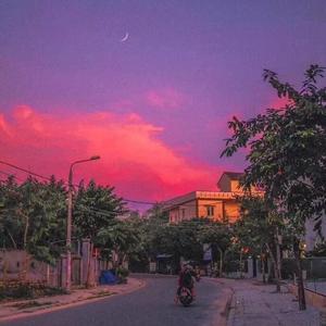 裸体黄色网网站下载
