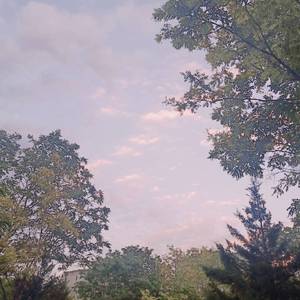 裸体黄色网网站下载
