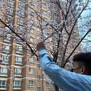 裸体黄色网网站下载
